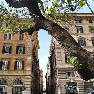 Vatican Near Sweet Terrace Roma